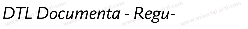 DTL Documenta - Regu字体转换